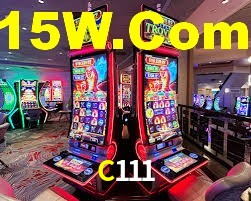 C111 App Interface