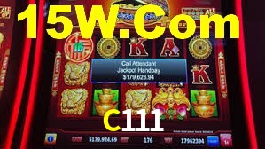 Premium Interface C111